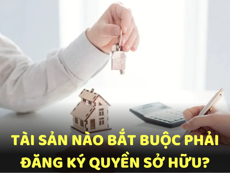 Tài sản nào bắt buộc phải đăng ký quyền sở hữu?
