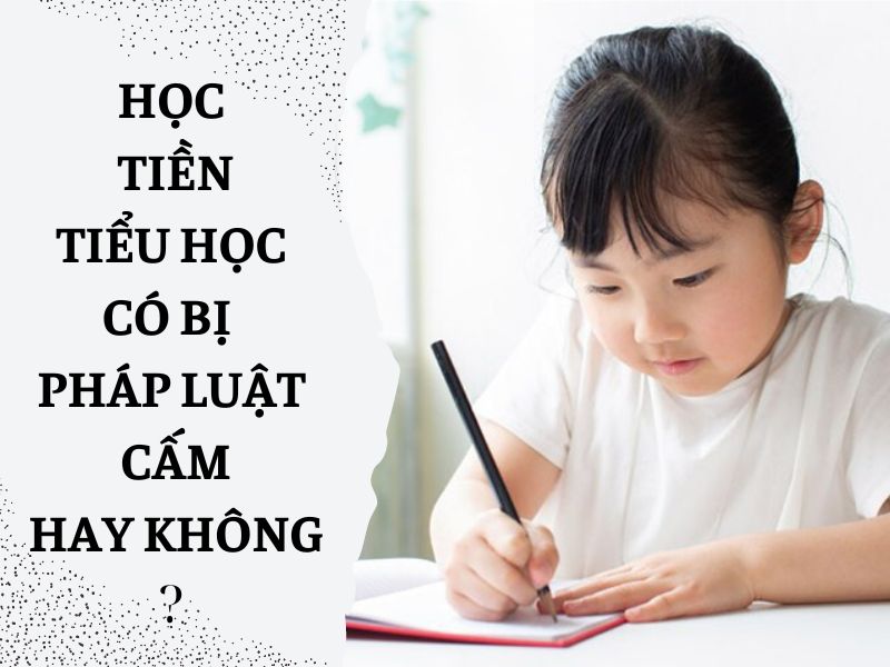 học tiền tiểu học có bị cấm không Học tiền tiểu học là gì?