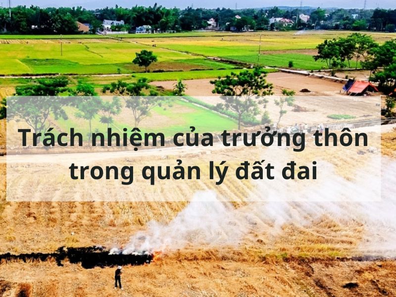 Trách nhiệm của trưởng thôn trong quản lý đất đai