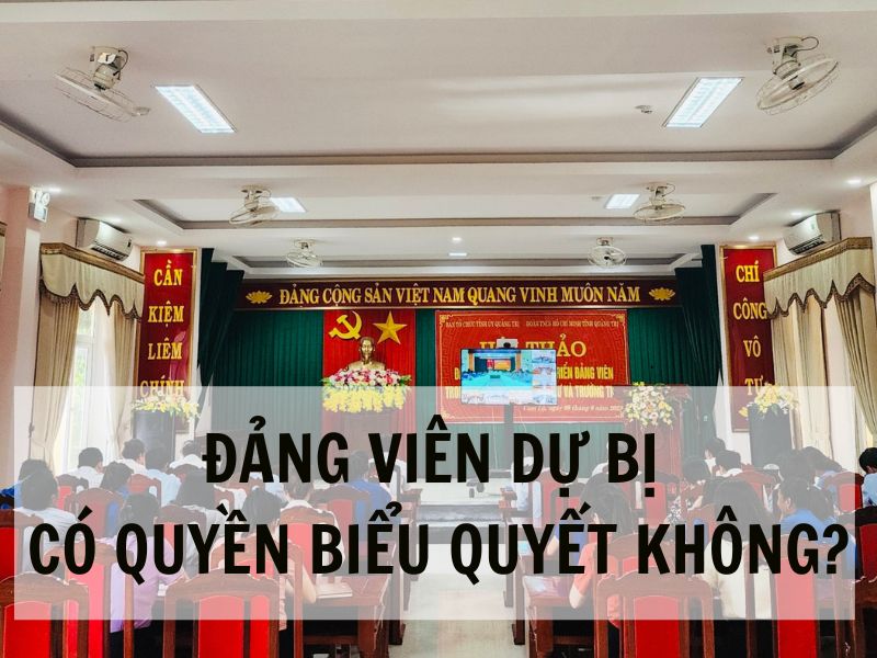 Đảng viên dự bị có quyền biểu quyết không?