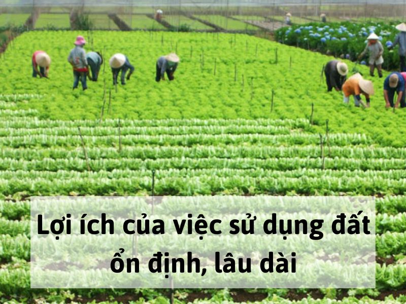 Lợi ích của việc sử dụng đất ổn định, lâu dài