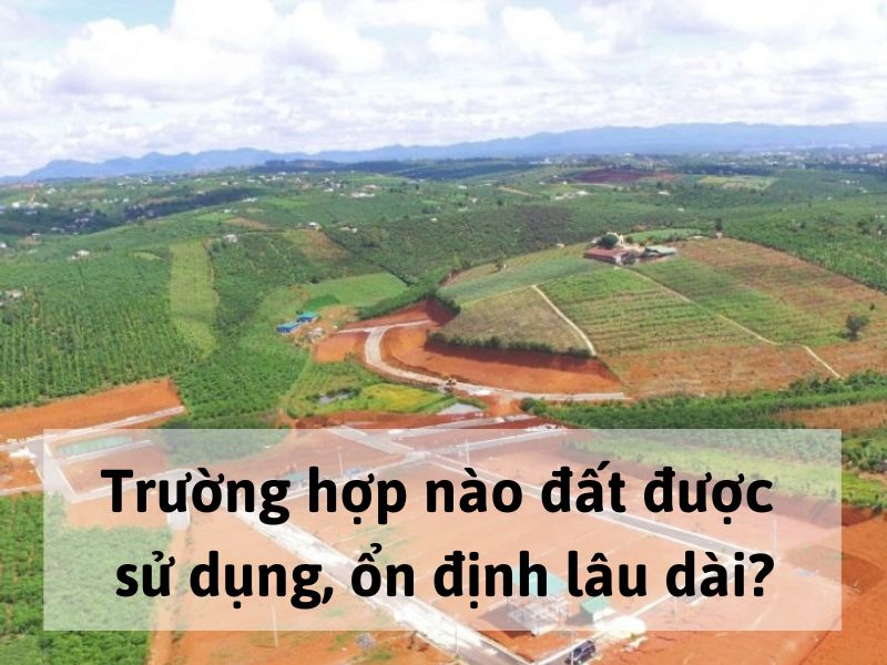 Trường hợp nào đất được sử dụng, ổn định lâu dài
