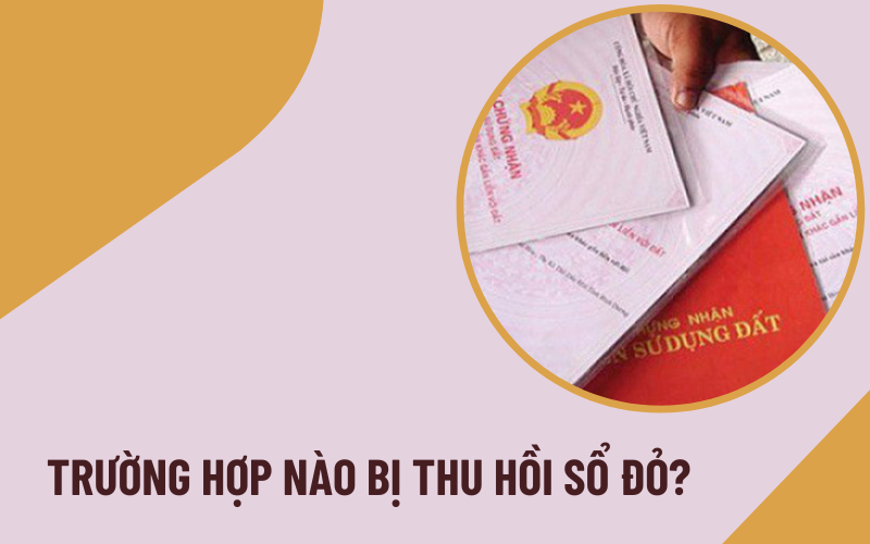 Trường hợp nào bị thu hồi Sổ đỏ? Ai có quyền thu hồi Sổ đỏ?