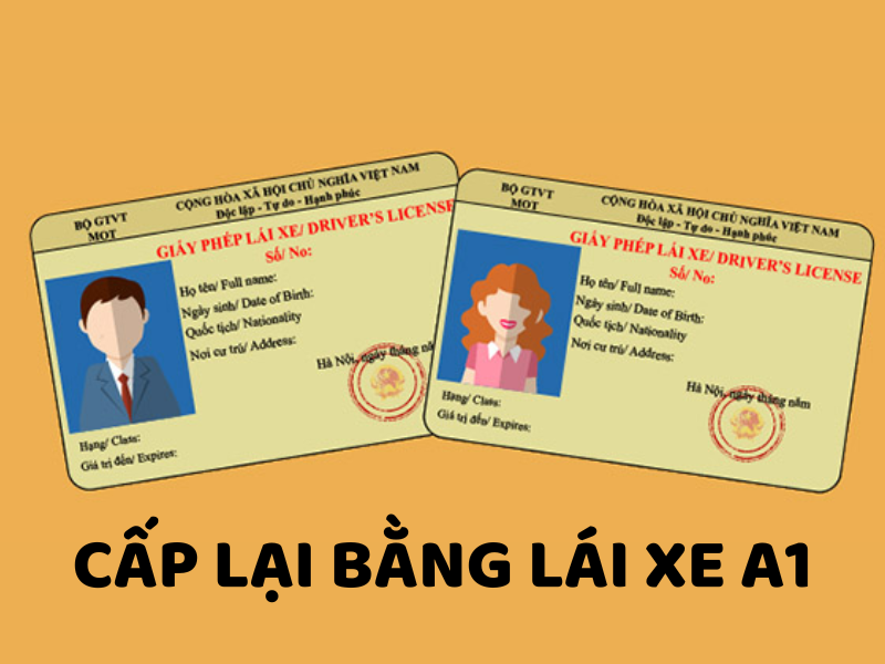 Lệ phí cấp lại bằng lái xe A1