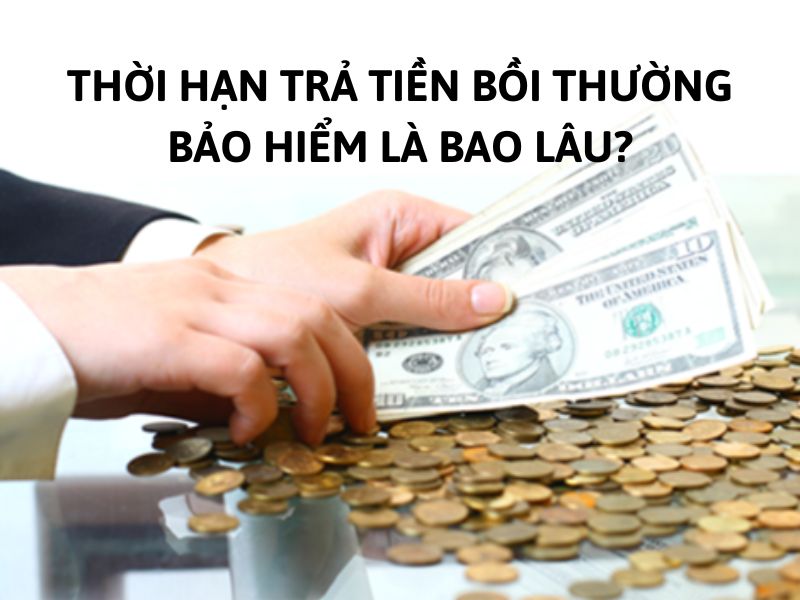 Thời hạn trả tiền bồi thường bảo hiểm là bao lâu?