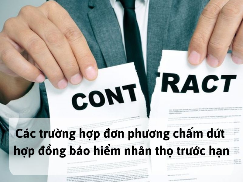 Các trường hợp đơn phương chấm dứt hợp đồng bảo hiểm nhân thọ trước hạn
