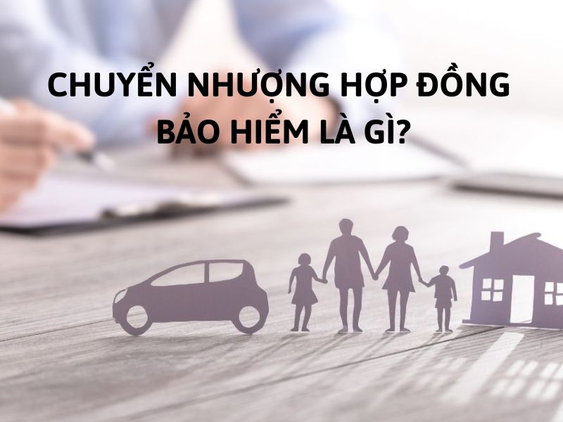 Chuyển nhượng hợp đồng bảo hiểm là gì?