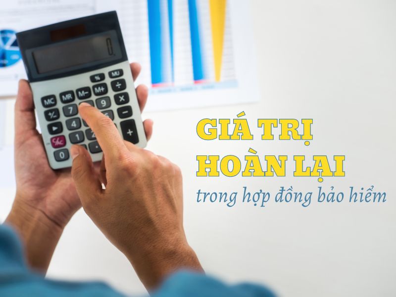 Cách tính giá trị hoàn lại của hợp đồng bảo hiểm