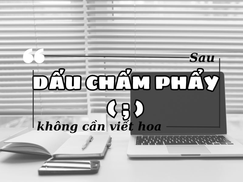 Sau dấu chấm phẩy có viết hoa không?