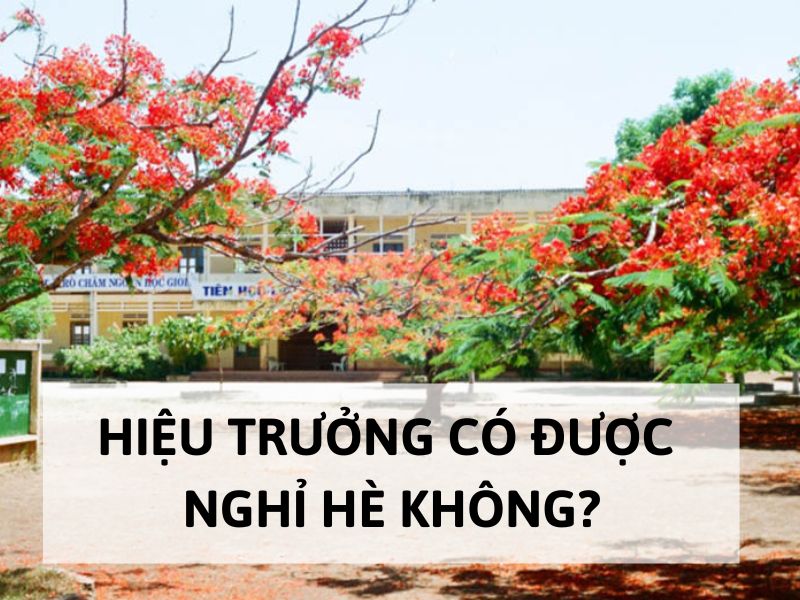 Hiệu trưởng có được nghỉ hè không?