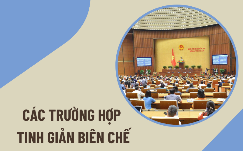 các trường hợp tinh giản biên chế Các trường hợp tinh giản biên chế
