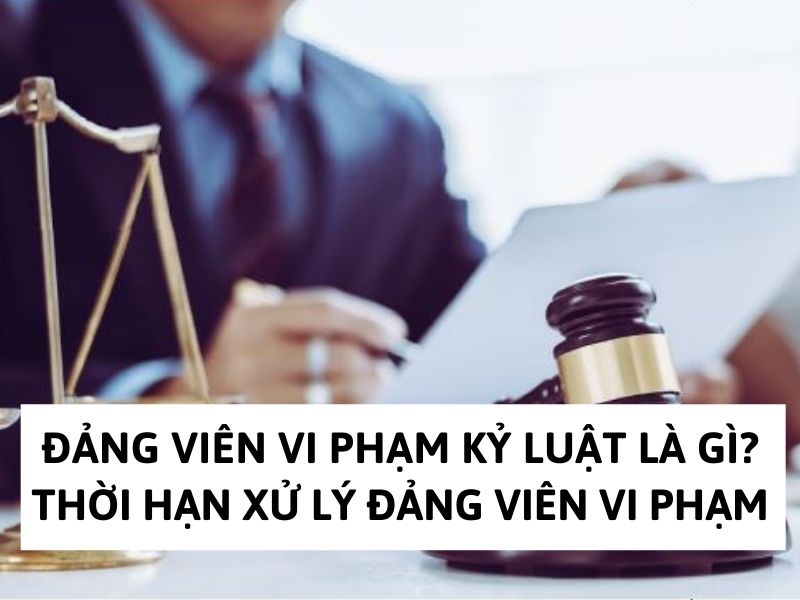 Đảng viên vi phạm kỷ luật là gì? Thời hạn xử lý đảng viên vi phạm