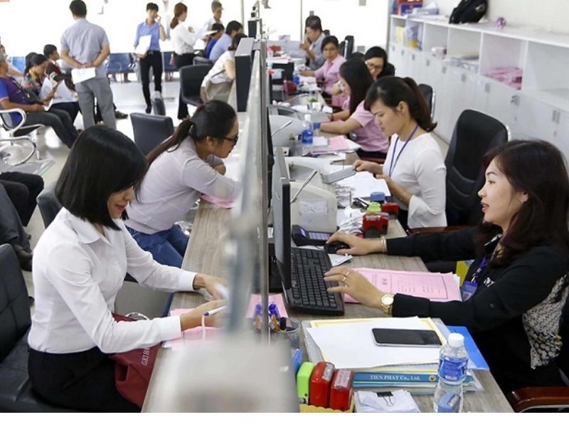 Công chức có thể mua đất rừng sản xuất