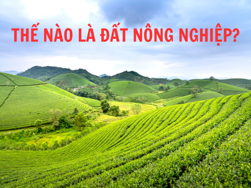 Thế nào là đất nông nghiệp?