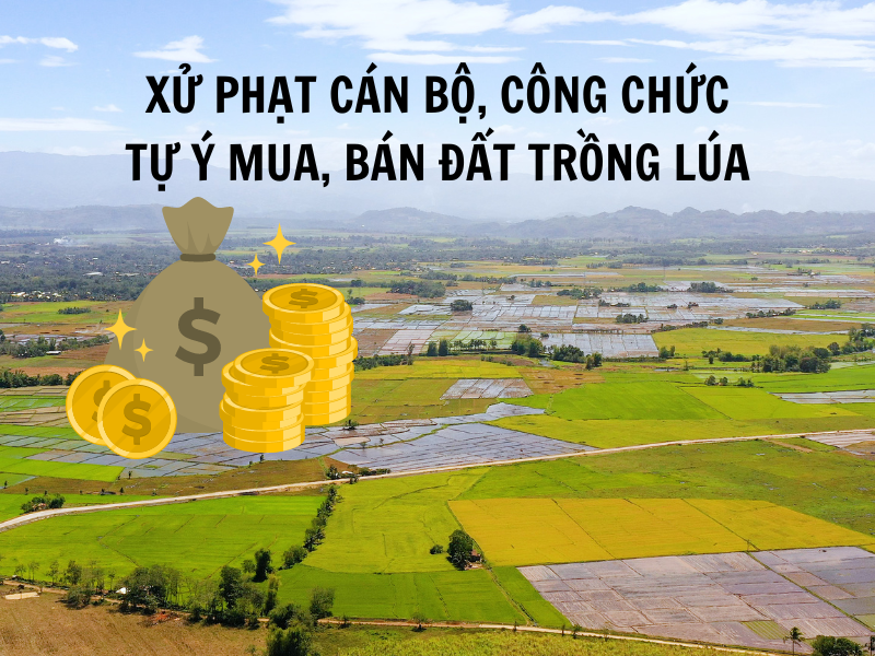 Xử phạt cán bộ, công chức tự ý mua bán đất trồng lúa