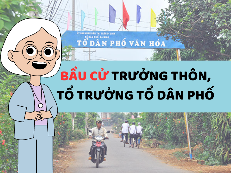Bầu cử trưởng thôn, tổ trưởng tổ dân phố