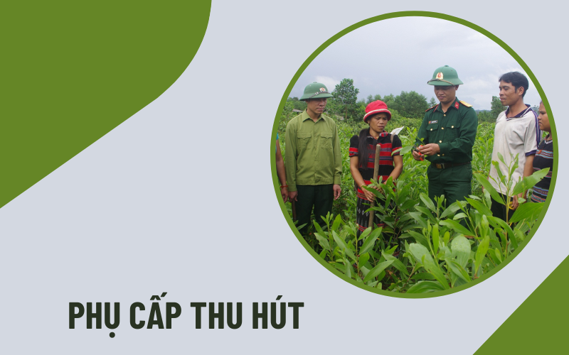 phụ cấp thu hút   Phụ cấp thu hút là gì?