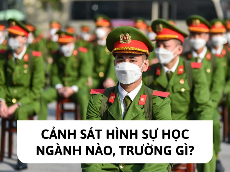 Cảnh sát hình sự học ngành nào, trường gì?