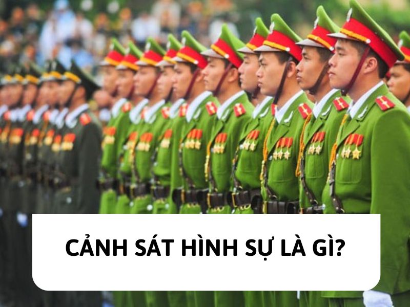 Cảnh sát hình sự là gì?