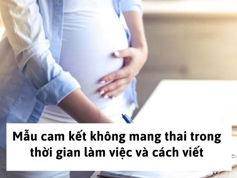 Mẫu cam kết không mang thai trong thời gian làm việc và cách viết