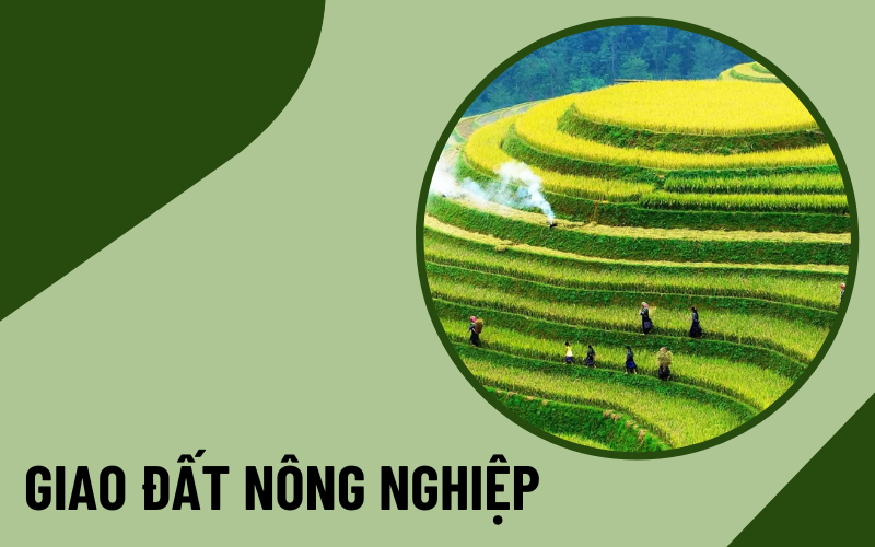 hạn mức giao đất nông nghiệp Hạn mức giao đất nông nghiệp