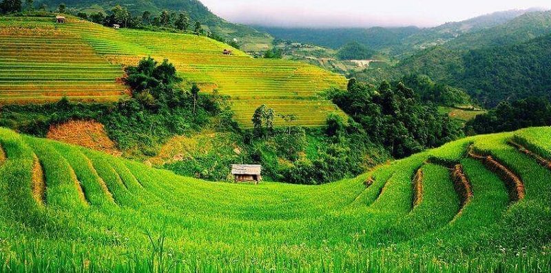 hạn mức giao đất cho cá nhân Hạn mức giao đất cho cá nhân