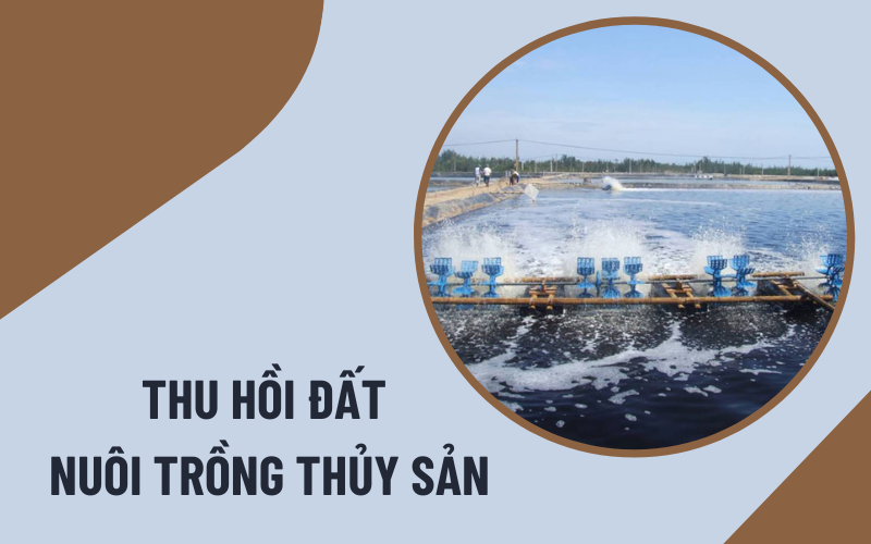 bồi thường khi thu hồi đất nuôi trồng thủy sản Đất nuôi trồng thủy sản bị thu hồi khi nào?