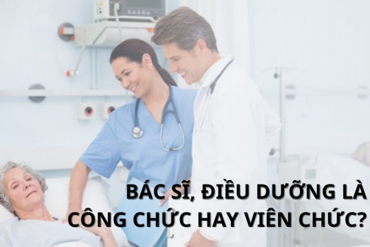 Bác sĩ mới ra trường là công chức hay viên chức?