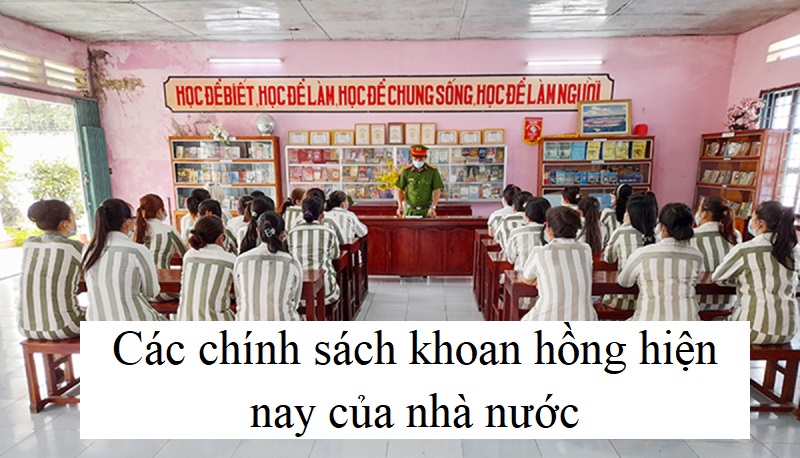 khoan hồng là gì khoan hồng là gì