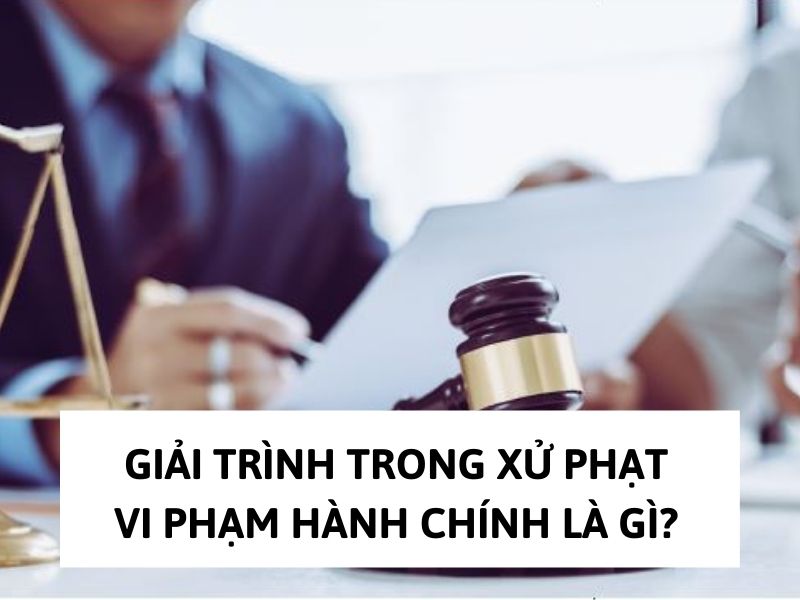 giải trình là gì Giải trình trong xử phạt vi phạm hành chính là gì?