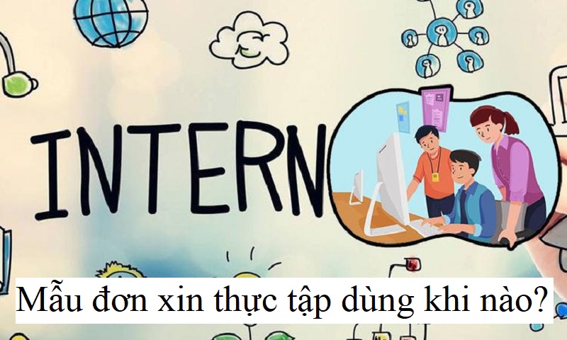 Mẫu đơn xin thực tập dùng khi nào?