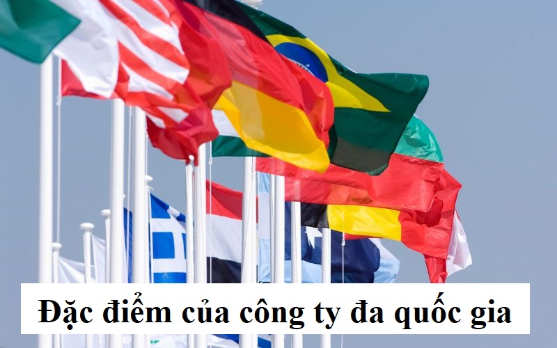 Đặc điểm của công ty đa quốc gia