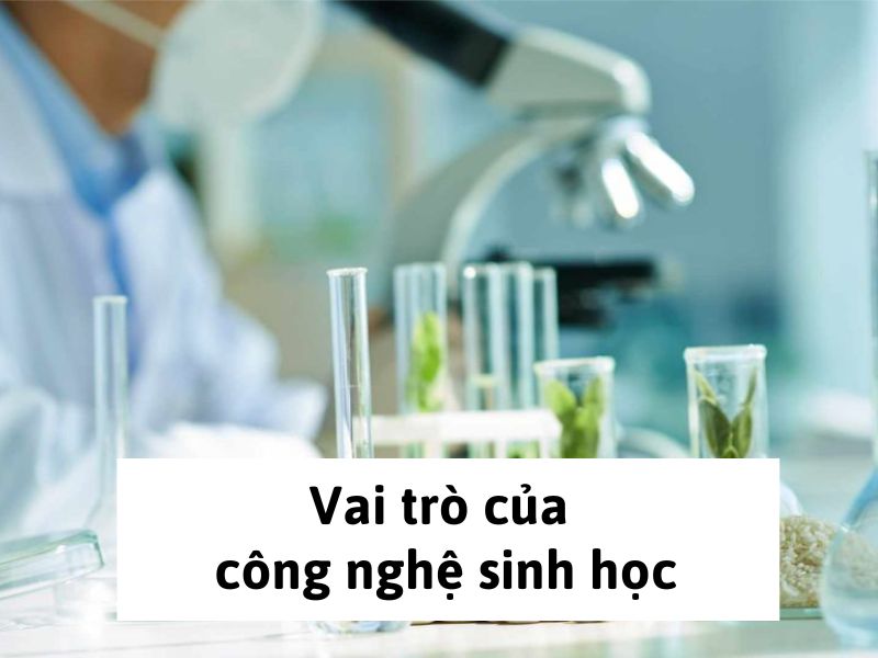 Vai trò của công nghệ sinh học