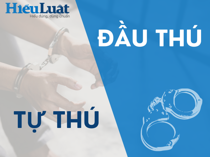 Đầu thú và tự thú khác nhau như thế nào?