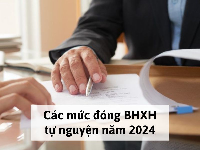 Các mức đóng BHXH tự nguyện năm 2024
