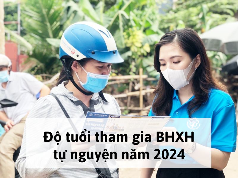Độ tuổi tham gia BHXH tự nguyện năm 2024