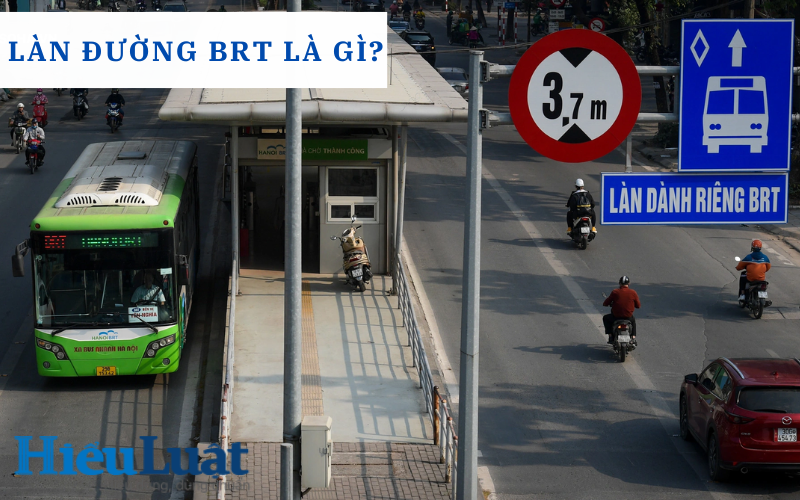 Làn đường BRT là gì?