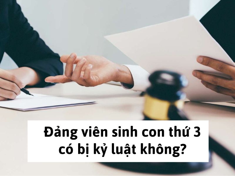 Đảng viên sinh con thứ 3 bị kỷ luật không?
