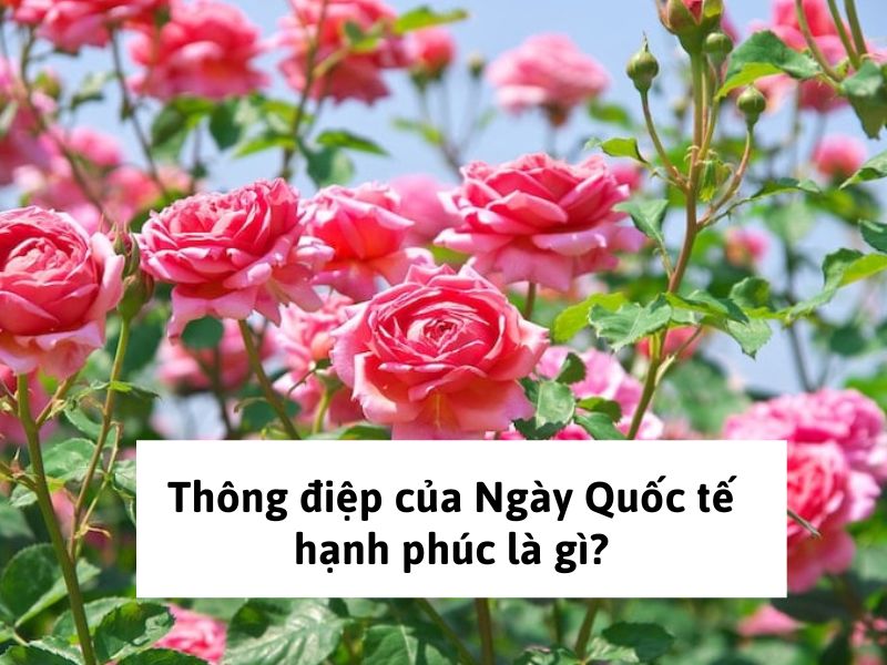 Thông điệp của Ngày Quốc tế hạnh phúc là gì?