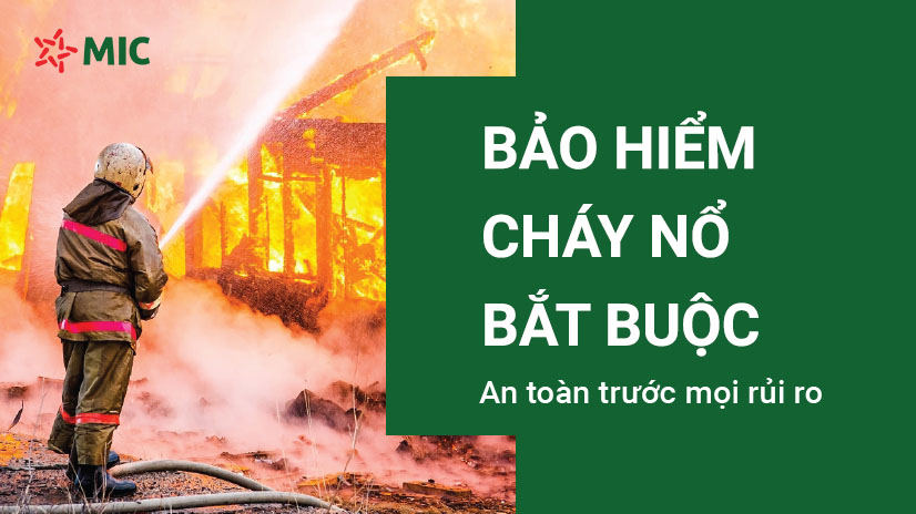 Giải pháp bảo hiểm cháy nổ: Lá chắn vững chắc cho nhà xưởng, kho hàng