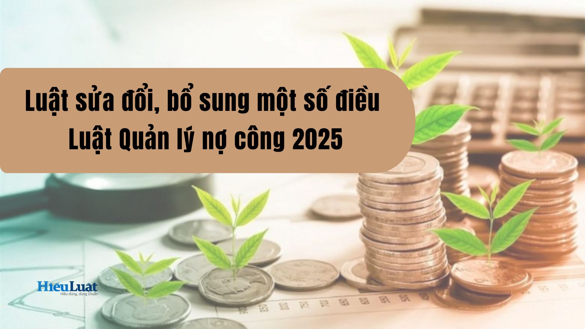 Tải toàn văn Luật sửa đổi Luật Quản lý nợ công 2025