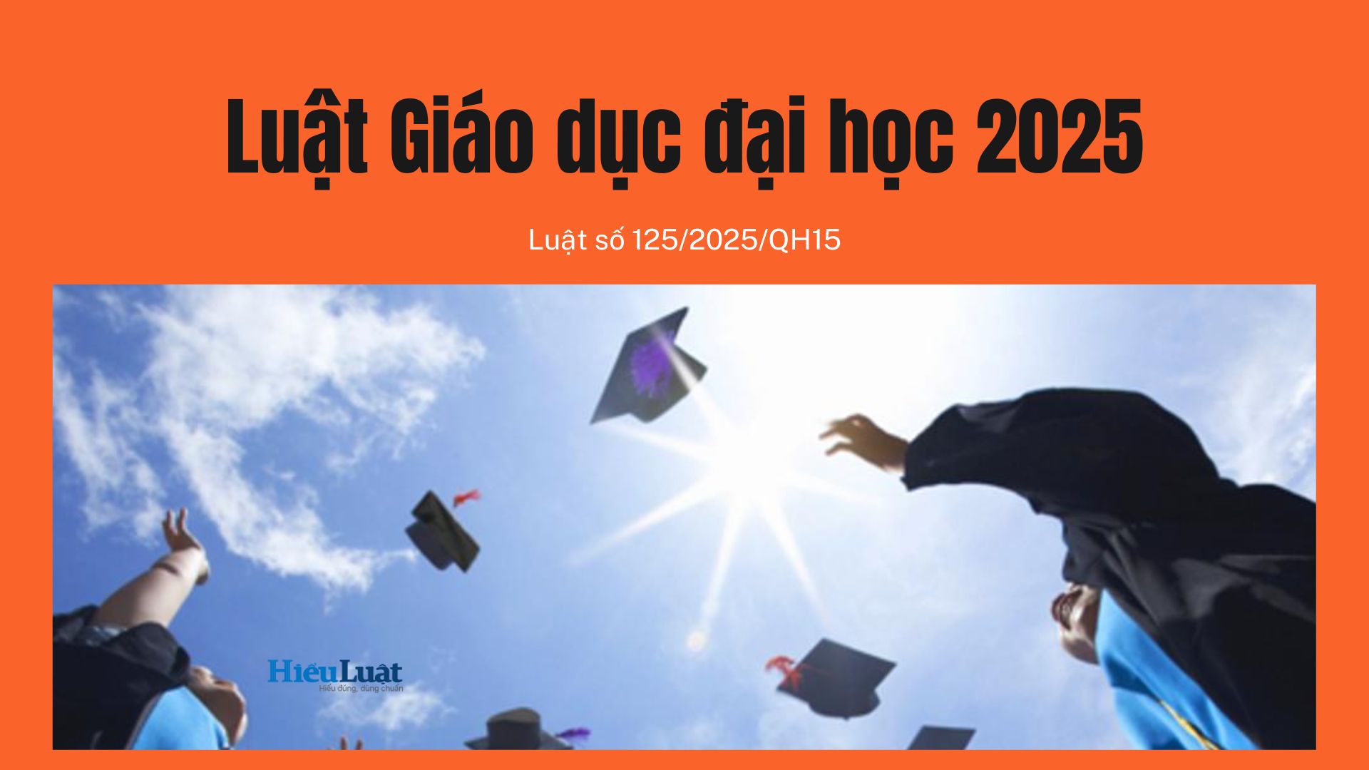 Toàn văn Luật Giáo dục đại học 2025, số 125/2025/QH15